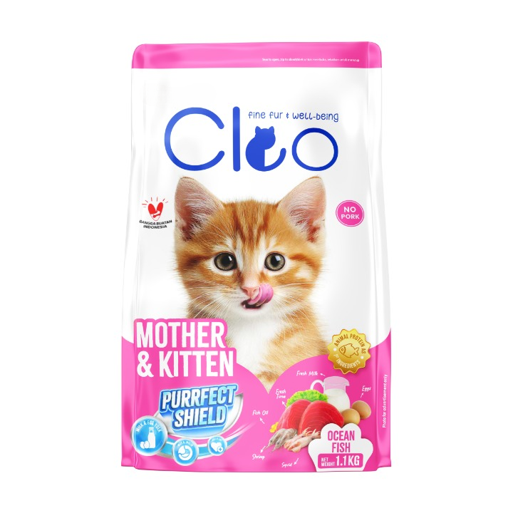 1.1 kitten_cleanup