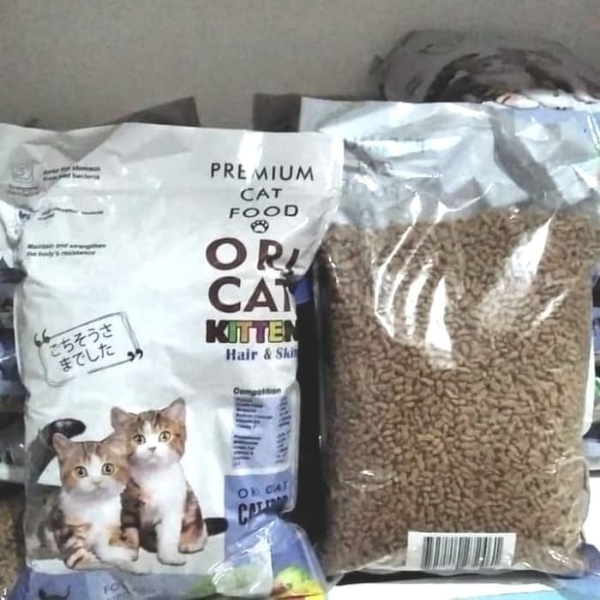 ori cat kitten komposisi