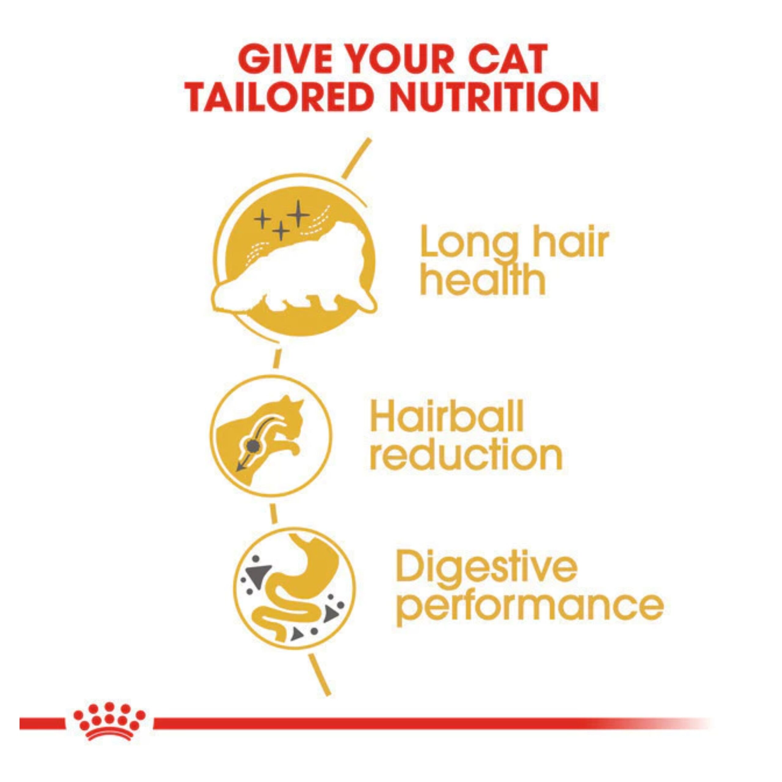 MixCollage-06-Feb-2026-08-28-AM-9190