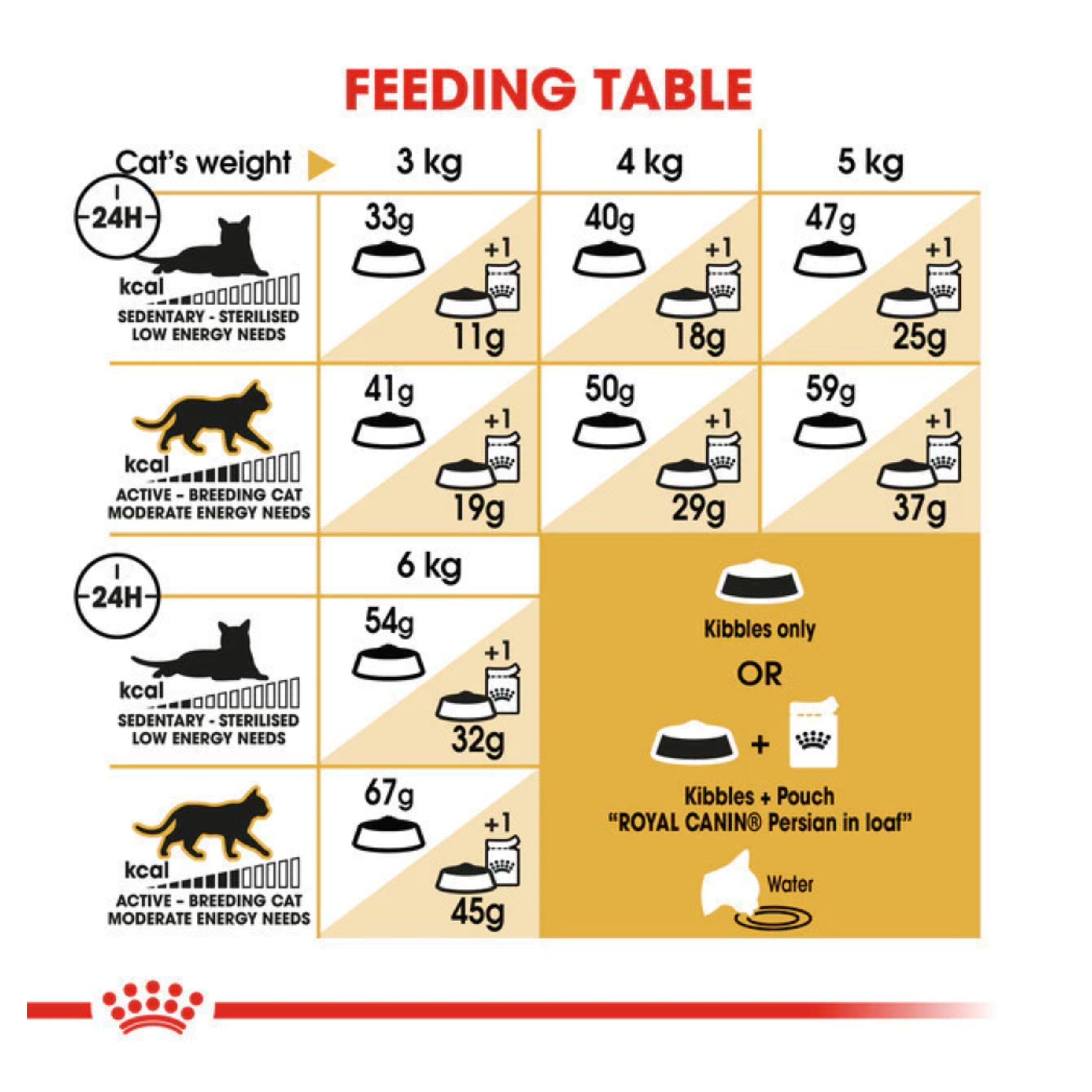 MixCollage-06-Feb-2026-08-29-AM-4063