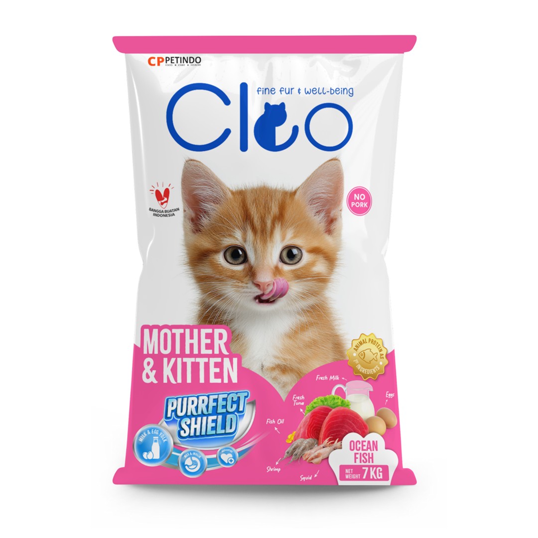 cleo kitten ocean fish 7