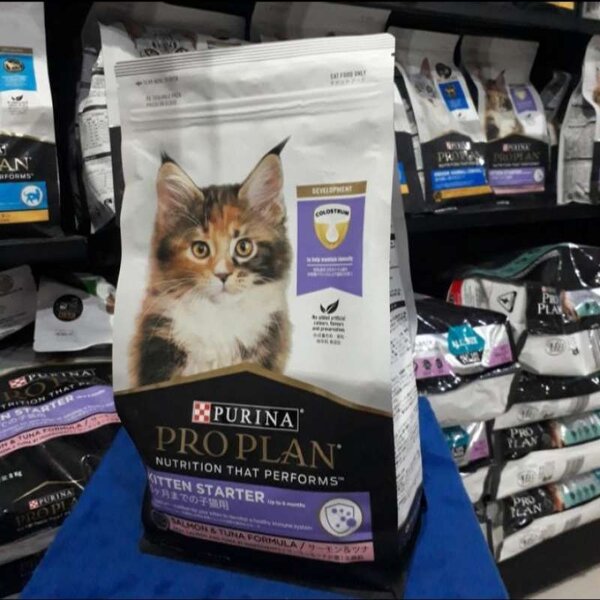 pro plan kitten harga