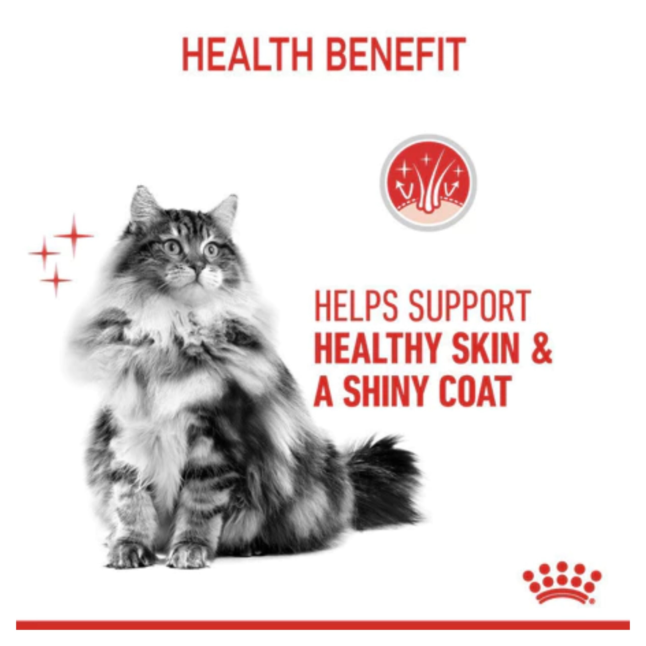 MixCollage-09-Feb-2026-10-05-AM-6559