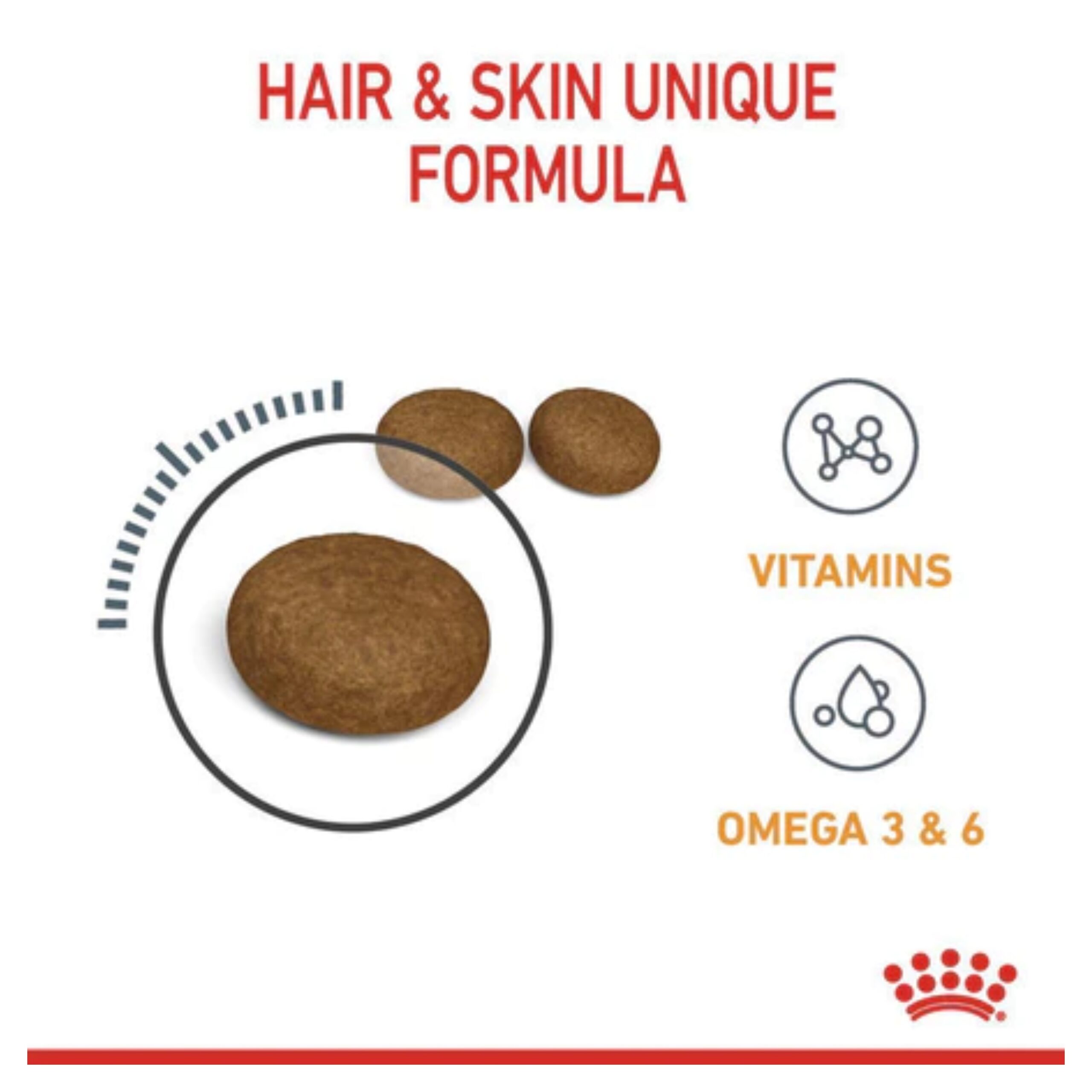 MixCollage-09-Feb-2026-10-11-AM-7048