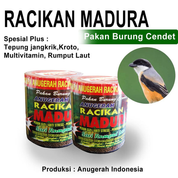 Jual Racikan Madura Pakan Makanan Burung Cendet Murai