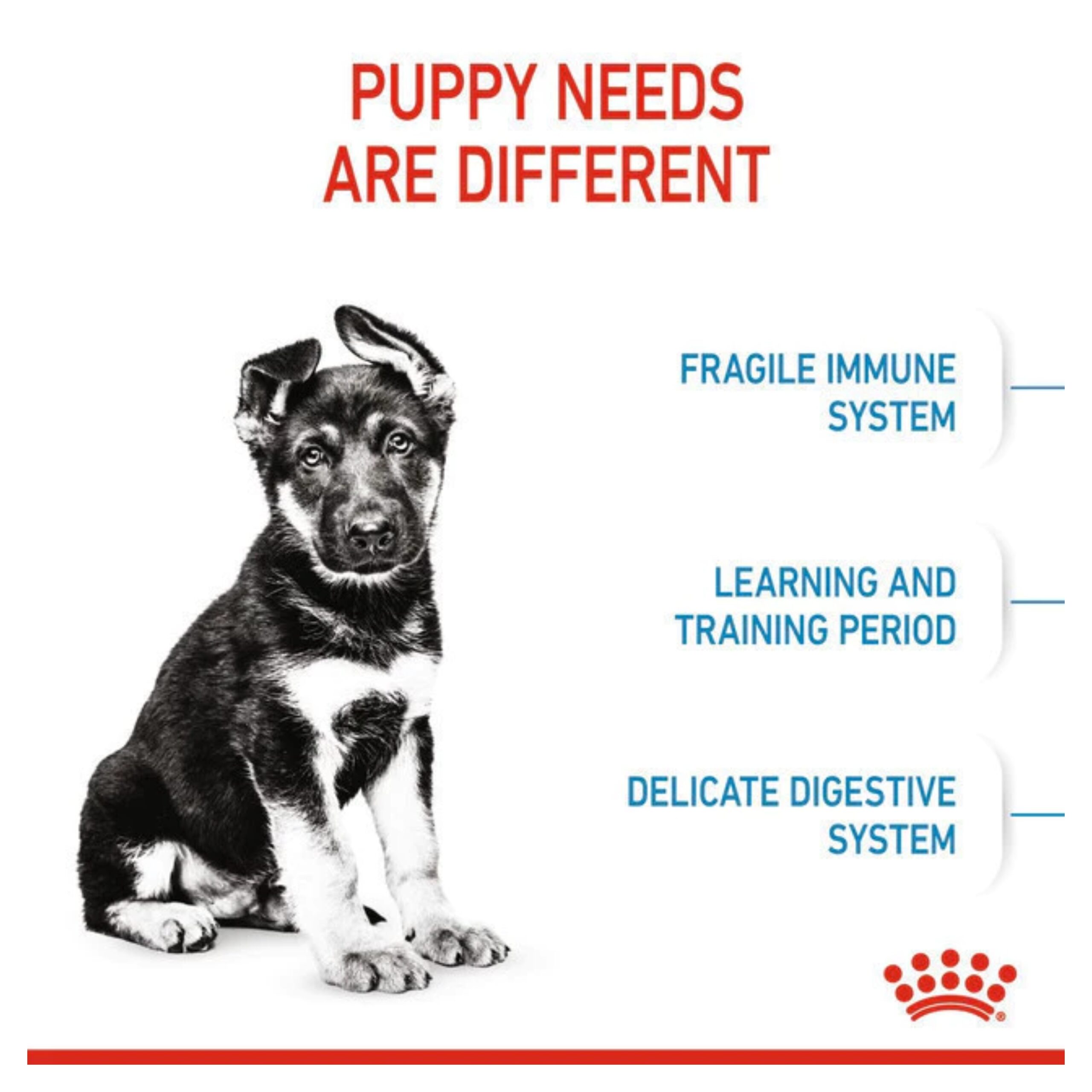 MixCollage-04-Feb-2026-12-14-PM-2821