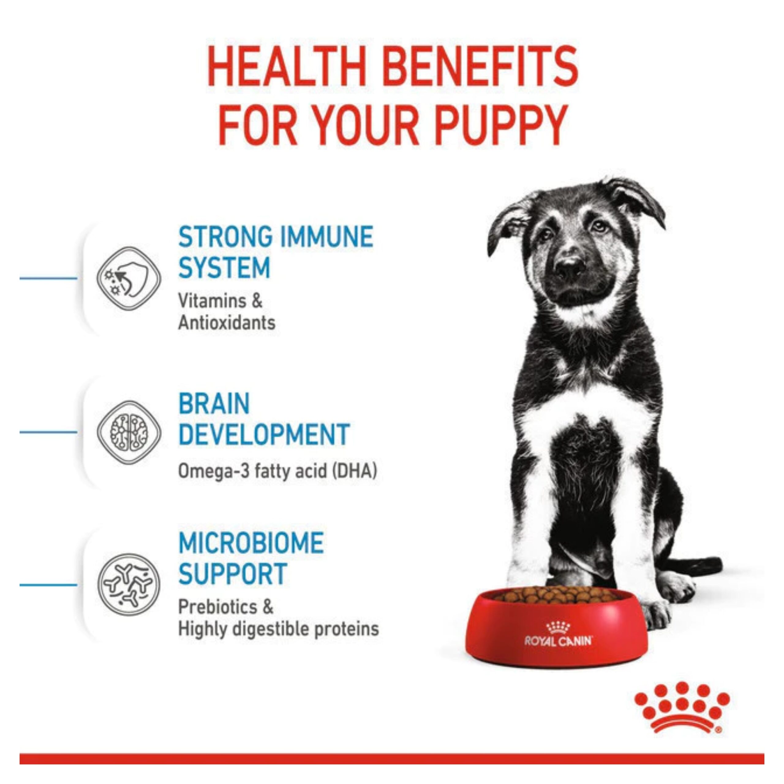 MixCollage-04-Feb-2026-12-14-PM-5315