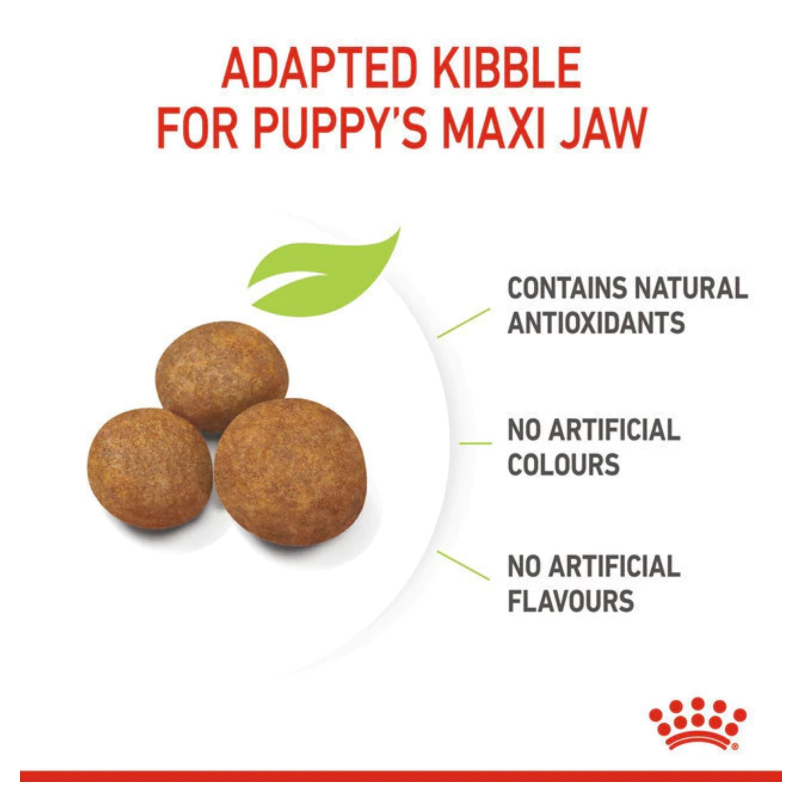 MixCollage-04-Feb-2026-12-15-PM-331