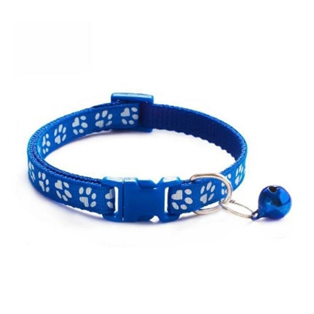 7491-biru_tua_paw.jpeg