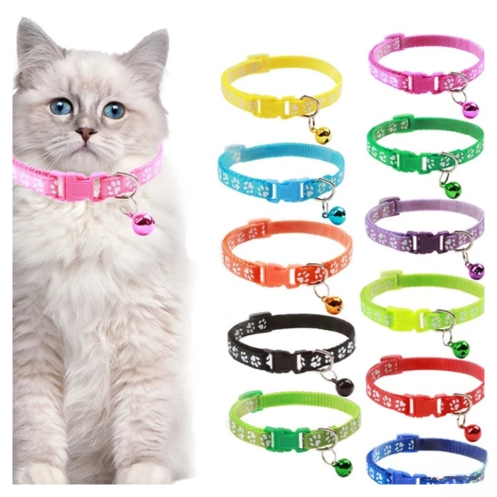 7491-paw_9.png