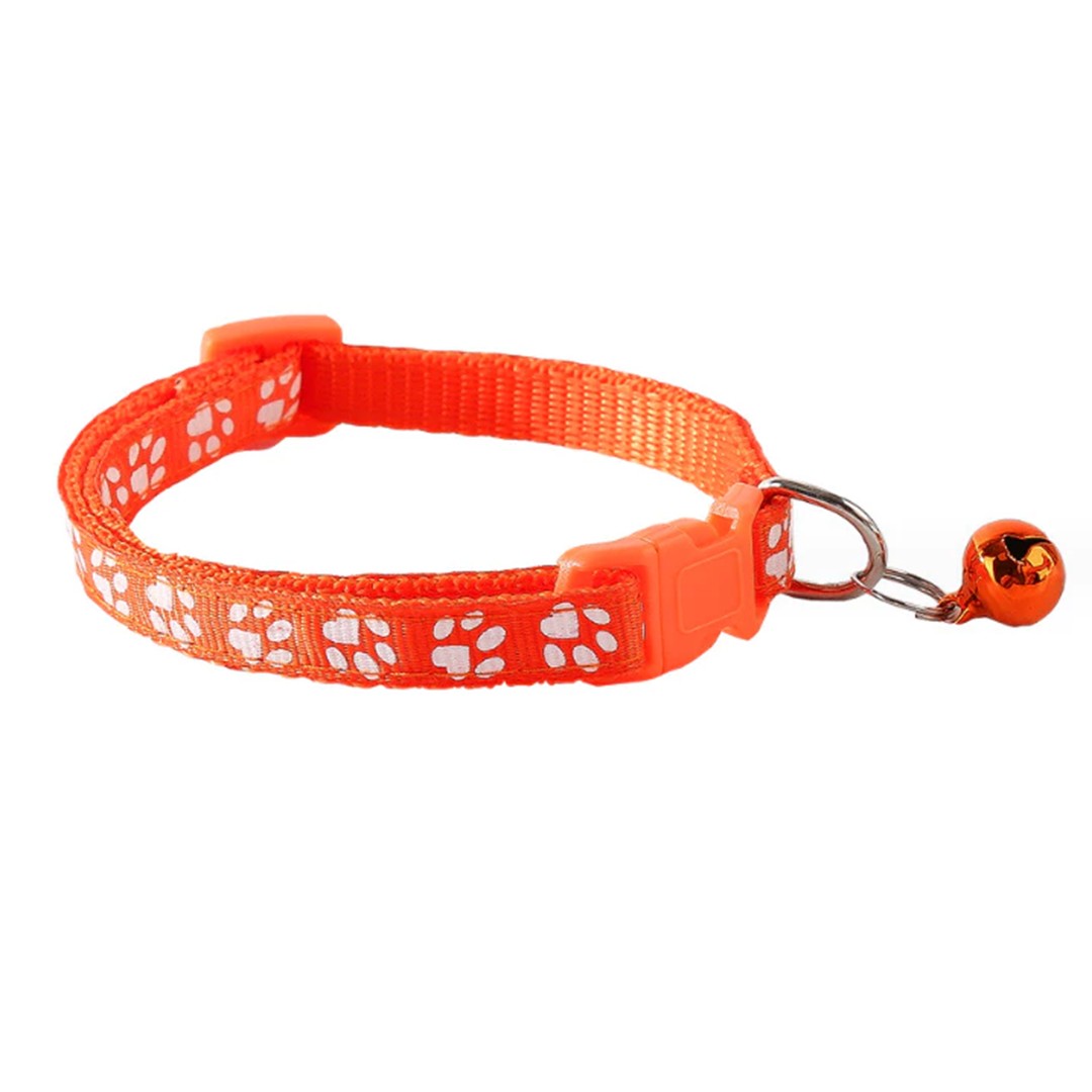 7501-orange_paw.jpeg