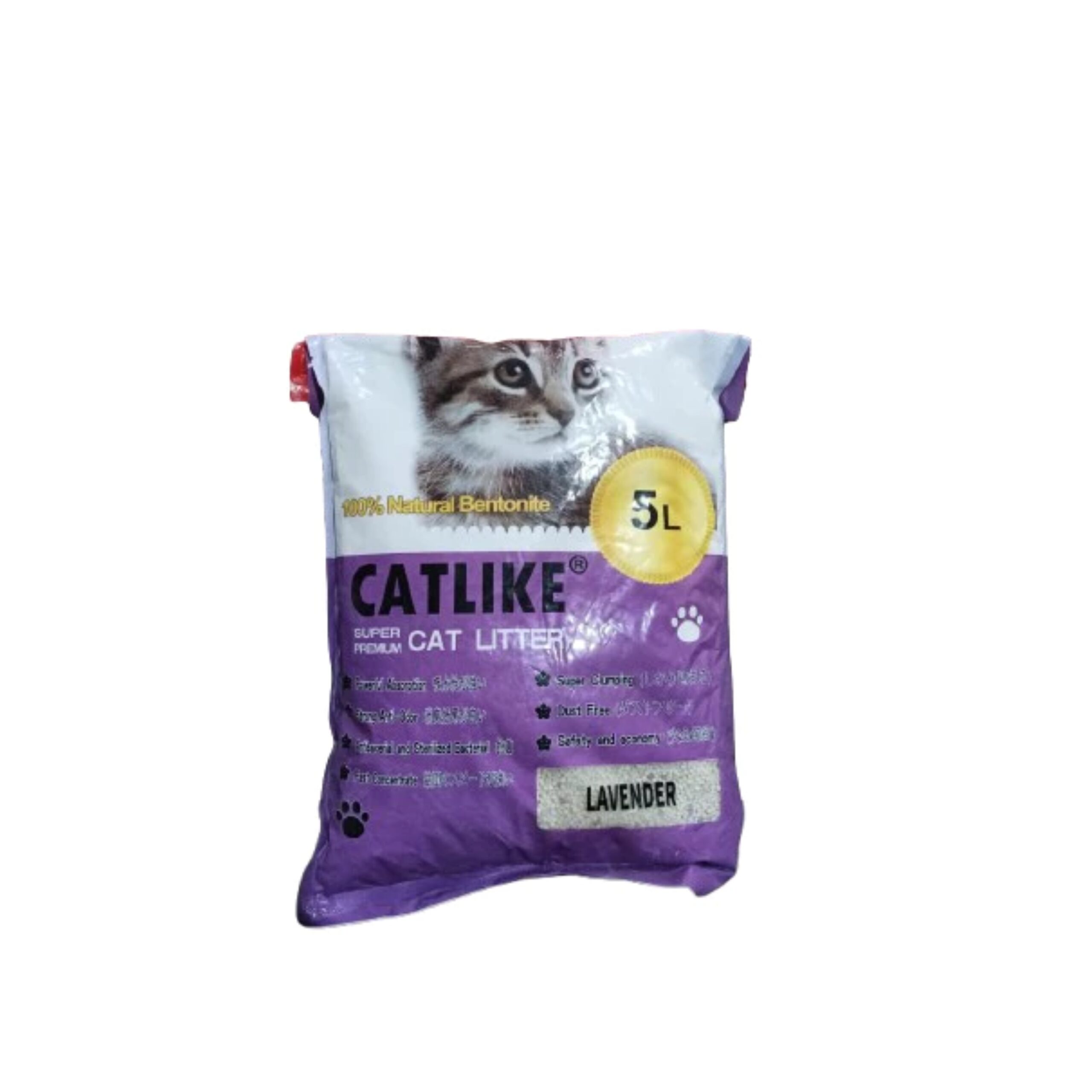 MixCollage-15-Dec-2025-02-00-PM-1748