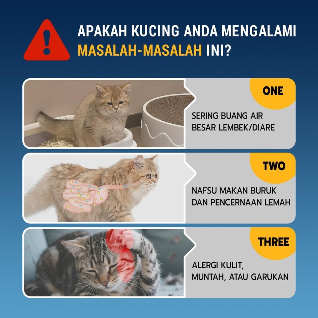 8045-slide2.jpeg